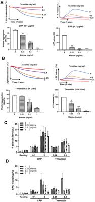 Matrine Impairs Platelet Function and Thrombosis and Inhibits ROS Production